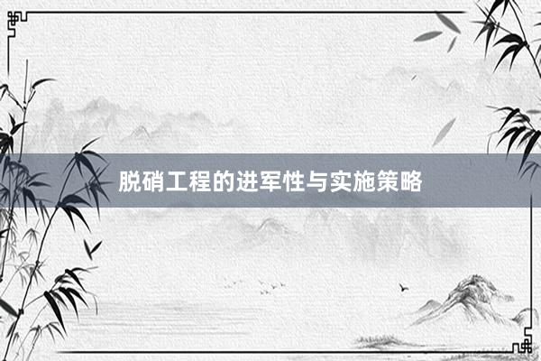 脱硝工程的进军性与实施策略