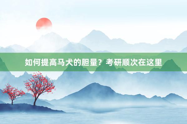 如何提高马犬的胆量？考研顺次在这里